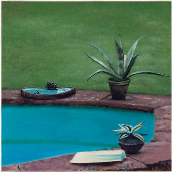 Haifisch-in-Vogeltränke-2004,Öl_Lw,-40x40cm